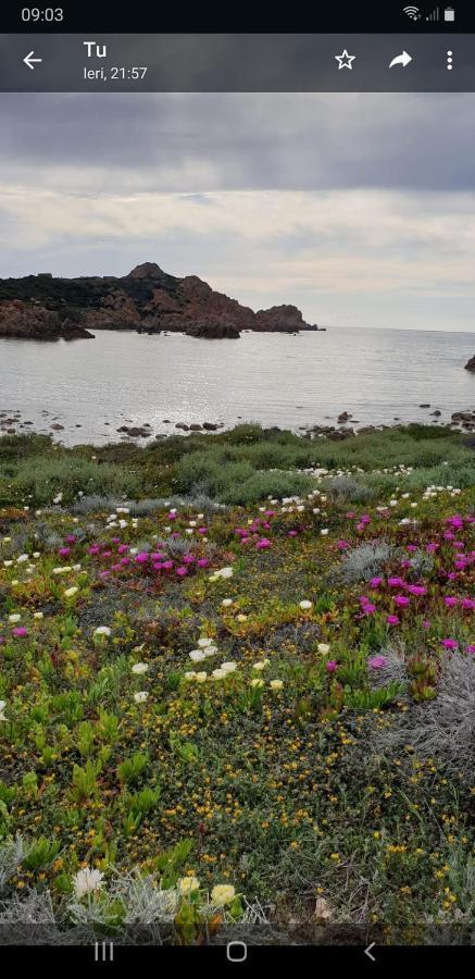 Vacanze In Natura Incontaminata "Casa Vacanza Francesca" Isola Rossa Ngoại thất bức ảnh