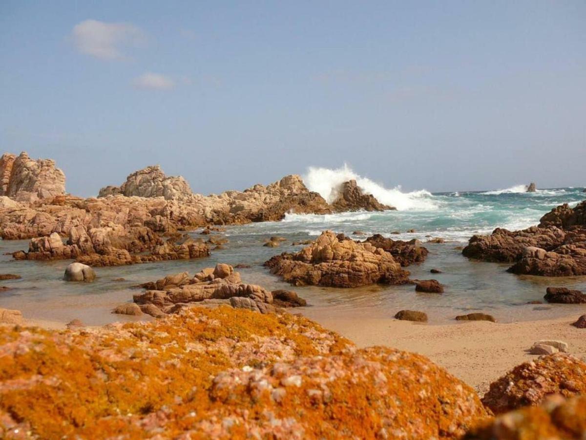 Vacanze In Natura Incontaminata "Casa Vacanza Francesca" Isola Rossa Ngoại thất bức ảnh